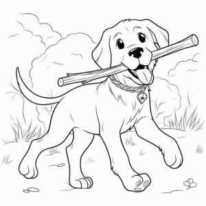 Desenho de bastão de busca retriever para colorir
