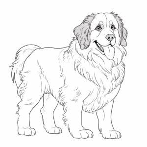 Desenho de bernese mountain dog para colorir