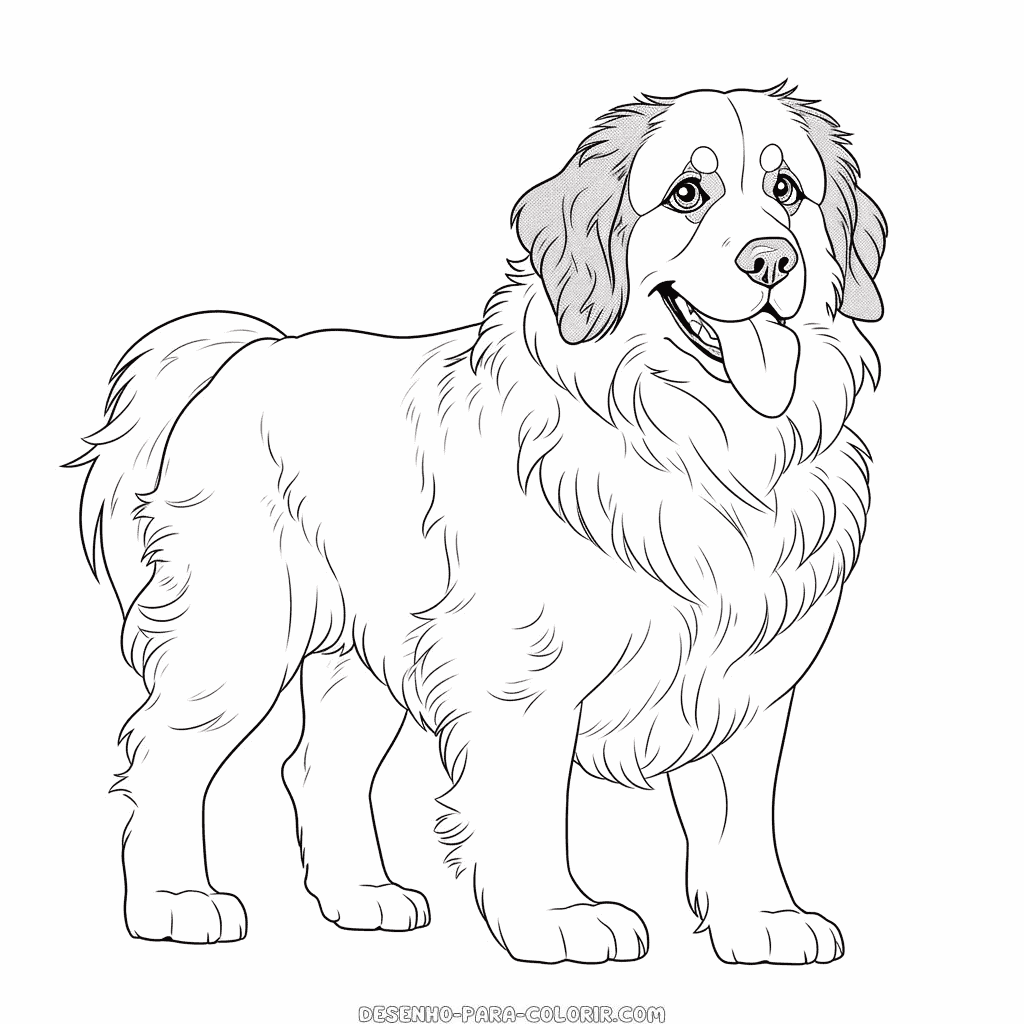 Desenho de bernese mountain dog para colorir