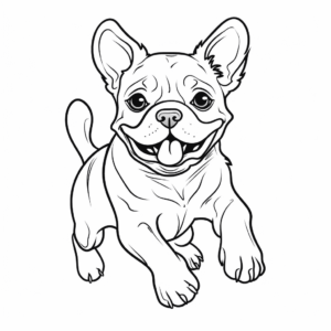 Desenho de bulldog francês em execução para colorir
