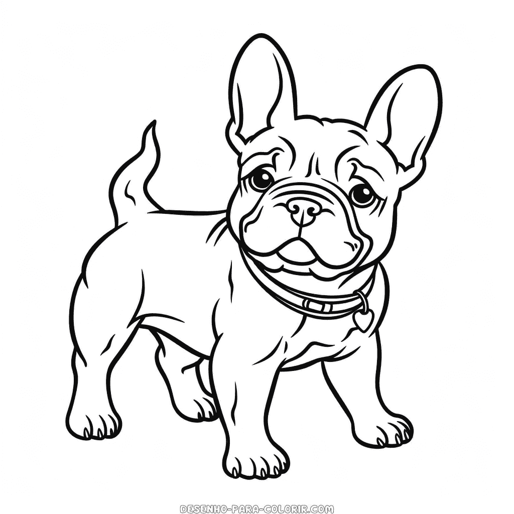 Desenho de bulldog francês fofo para colorir