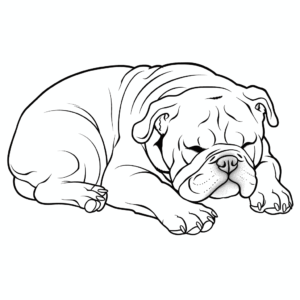 Desenho de cachorro bulldog dormindo para colorir