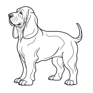 Desenho de cão basset hound para colorir