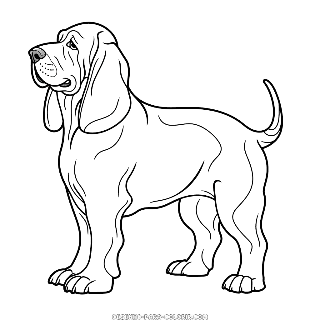 Desenho de cão basset hound para colorir