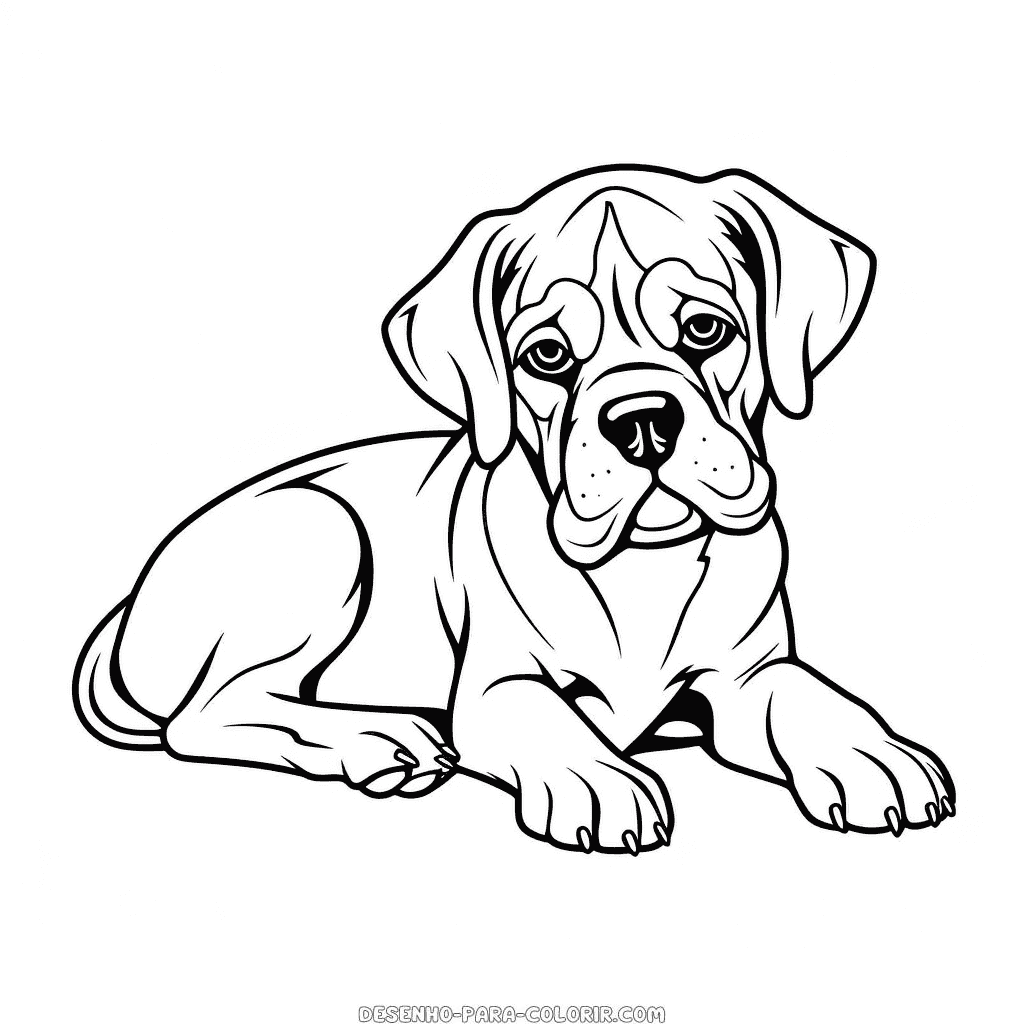 Desenho de cão boxer descansando para colorir