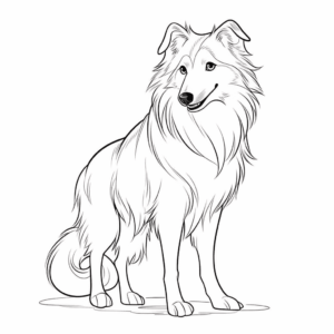 Desenho de cão collie para colorir