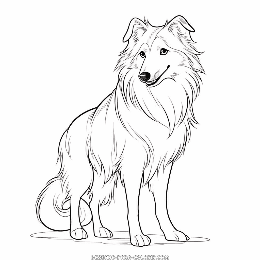 Desenho de cão collie para colorir