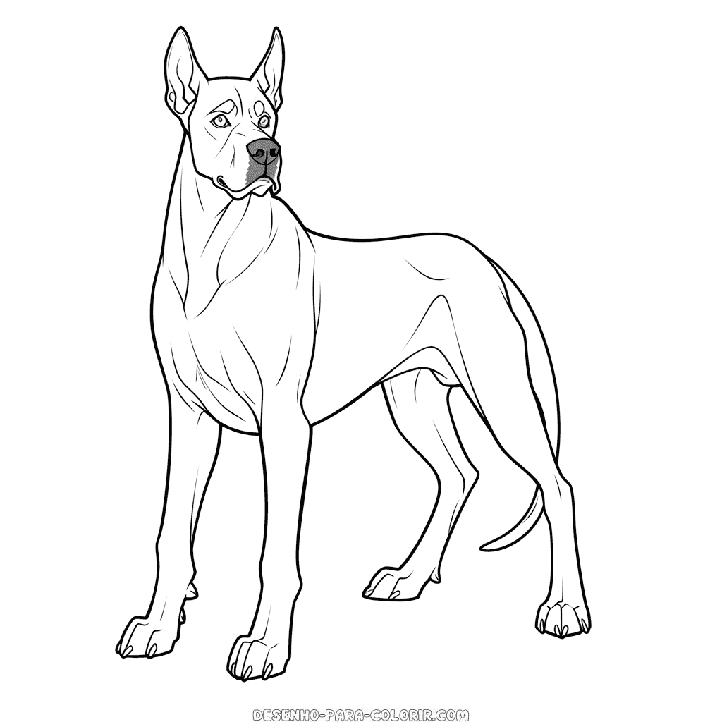 Desenho de cão da raça dogue alemão para colorir