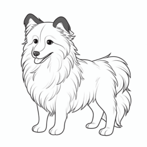 Desenho de cão da raça shetland sheepdog para colorir