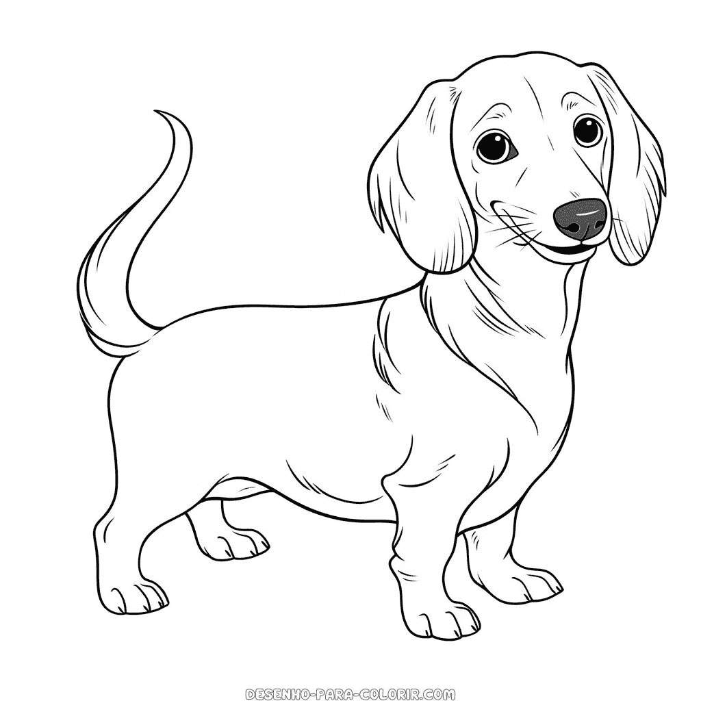 Desenho de cão dachshund para colorir