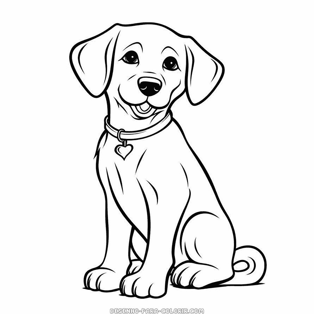 Desenho de cão labrador bonito para colorir