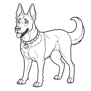 Desenho de cão malinois belga para colorir