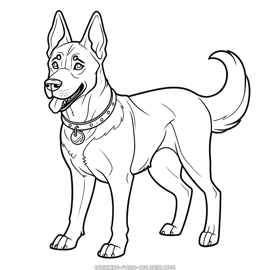 Desenho de cão malinois belga para colorir