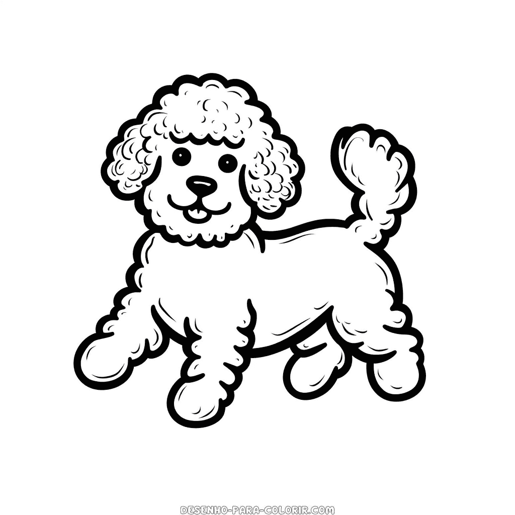 Desenho de cão poodle simples para colorir