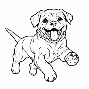 Desenho de cão rottweiler correndo para colorir