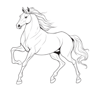 Desenho de cavalo árabe para colorir