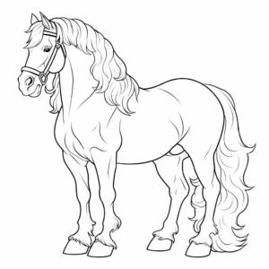 Desenhos de Cavalo para colorir - Bora Colorir