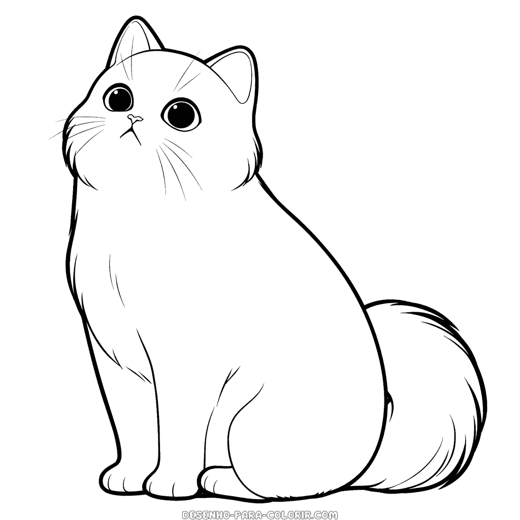 Desenho de gato adulto para colorir