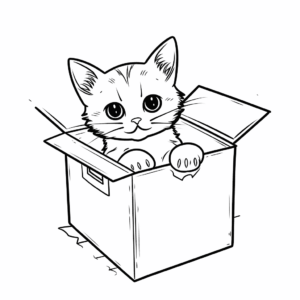 Desenho de gato em uma caixa de papelão para colorir