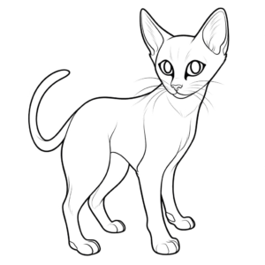 Desenho de gato siamês fofo para colorir