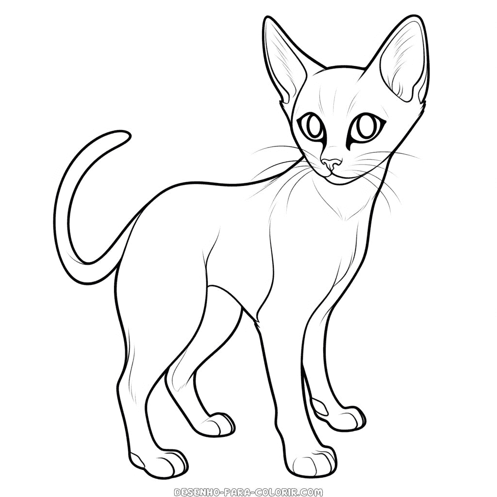 Desenho de gato siamês fofo para colorir