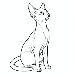 Desenho de gato siamês sentado para colorir