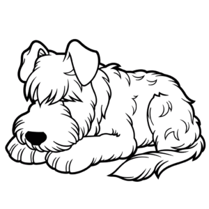 Desenho de schnauzer dormindo para colorir