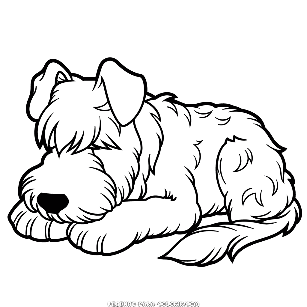 Desenho de schnauzer dormindo para colorir
