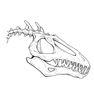 Desenho de osso de dinossauro para colorir