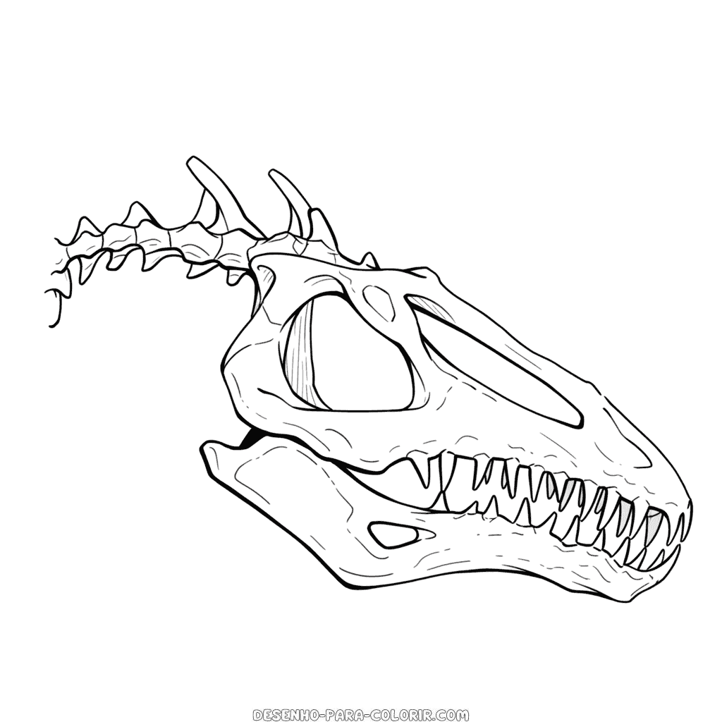 Desenho de osso de dinossauro para colorir
