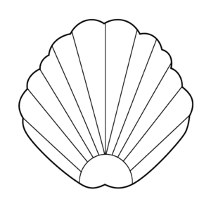 Desenho de amêijoa para colorir