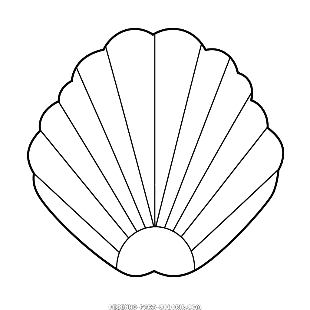 Desenho de amêijoa para colorir