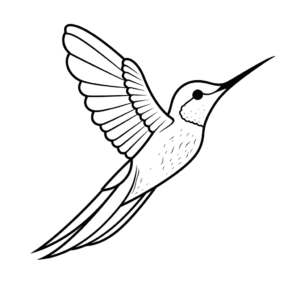 Desenho de beija flor para colorir