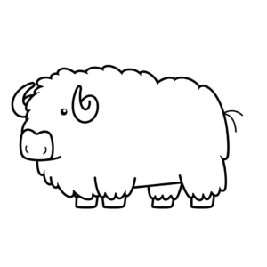 Desenho de boi almiscarado para colorir