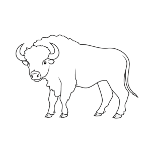 Desenho de búfalo para colorir