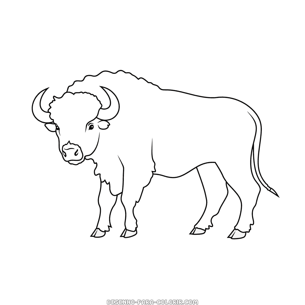 Desenho de búfalo para colorir