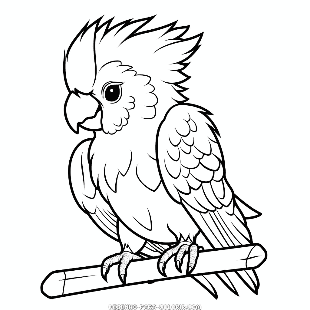 Desenho de cacatuas em um poleiro para colorir