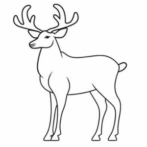 Desenho de caribu para colorir