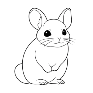 Desenho de chinchila para colorir