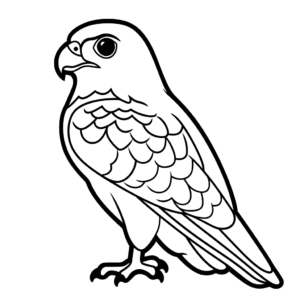 Desenho de falcão para colorir