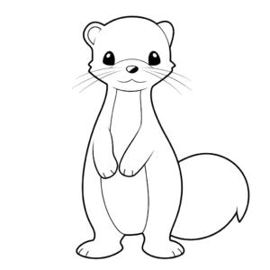 Desenho de furão para colorir
