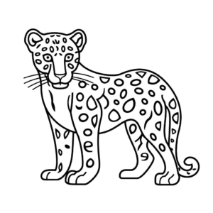 Desenho de jaguar para colorir