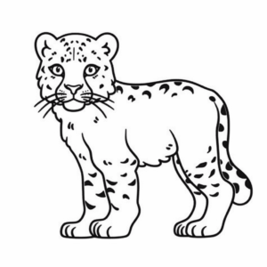 Desenho de leopardo da neve para colorir