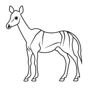 Desenho de okapi para colorir