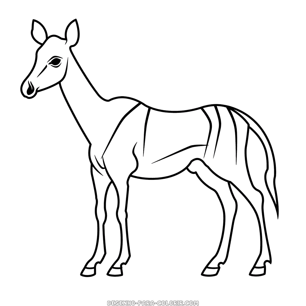 Desenho de okapi para colorir