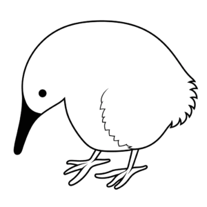 Desenho de pássaro kiwi para colorir
