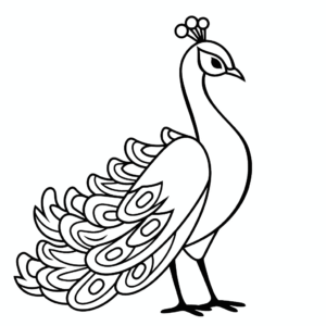 Desenho de pavão para colorir