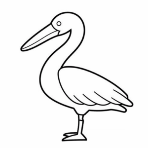 Desenho de pelicano para colorir