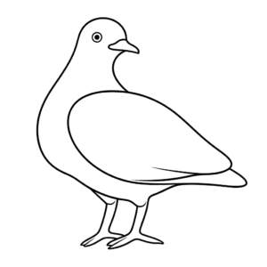 Desenho de pombo para colorir