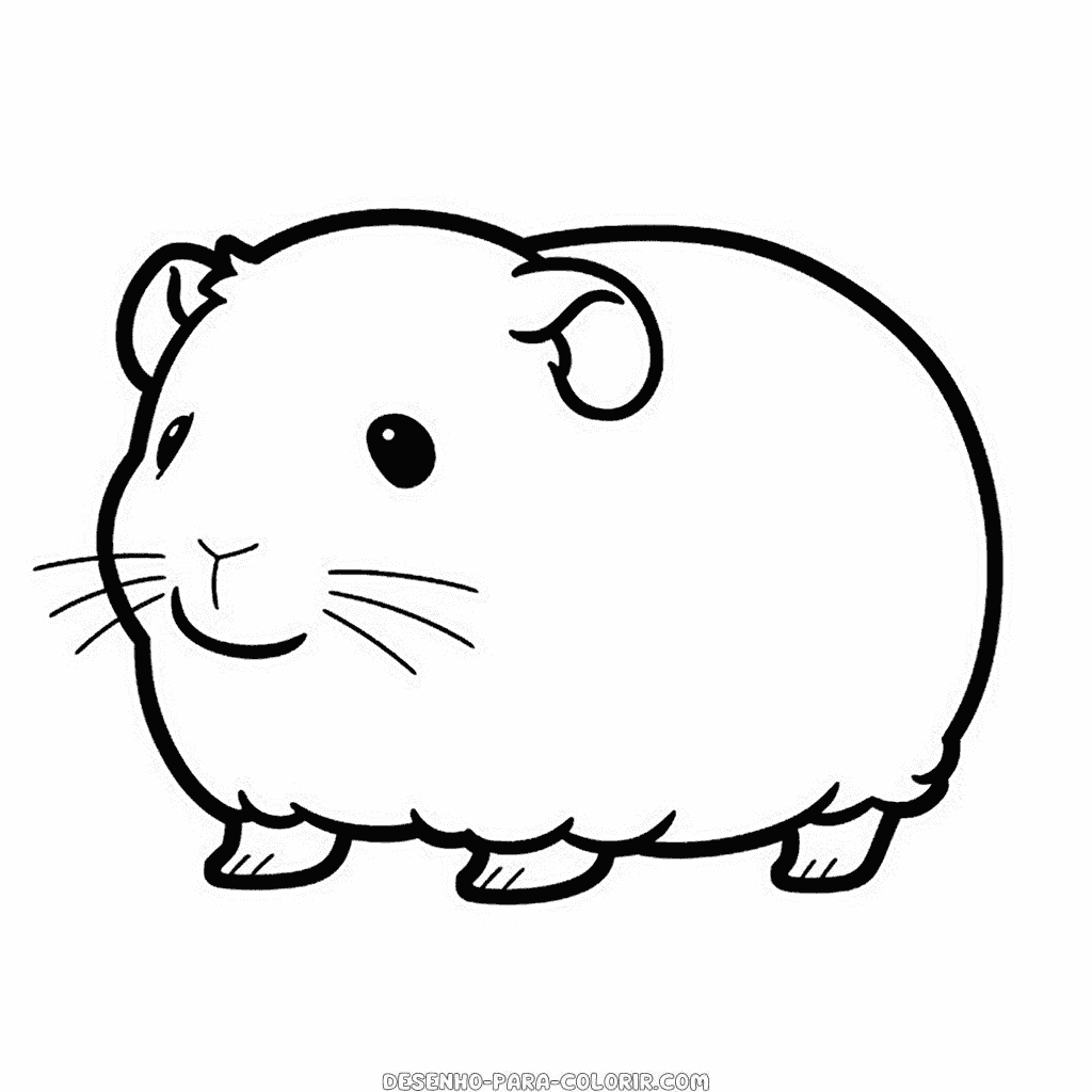 Desenho de porquinho da índia para colorir